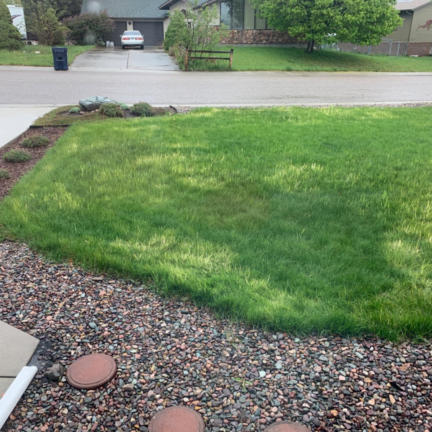 Customer review photo 1 — Tenacity herbicide results