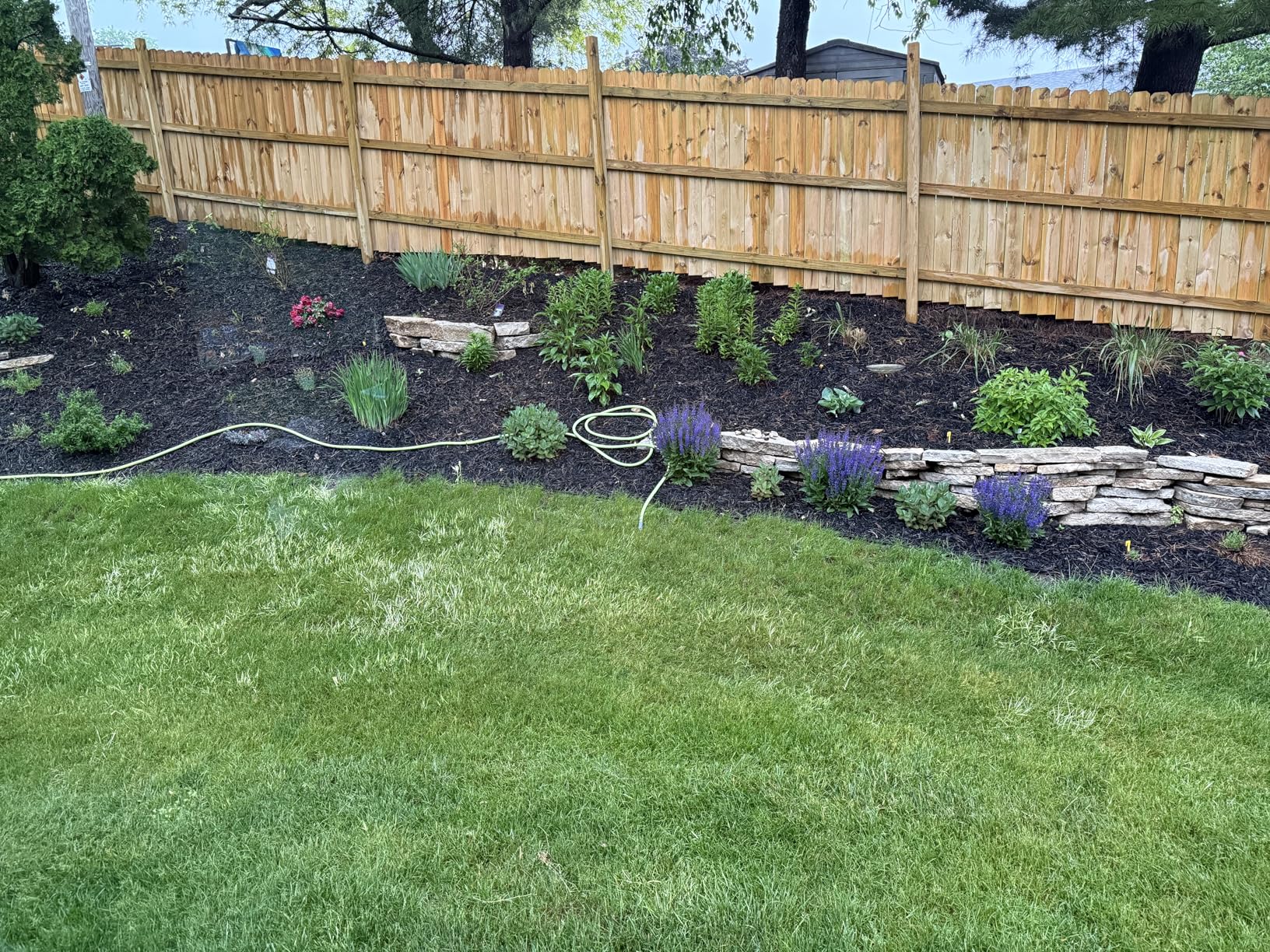 Customer review photo 3 — Tenacity herbicide results