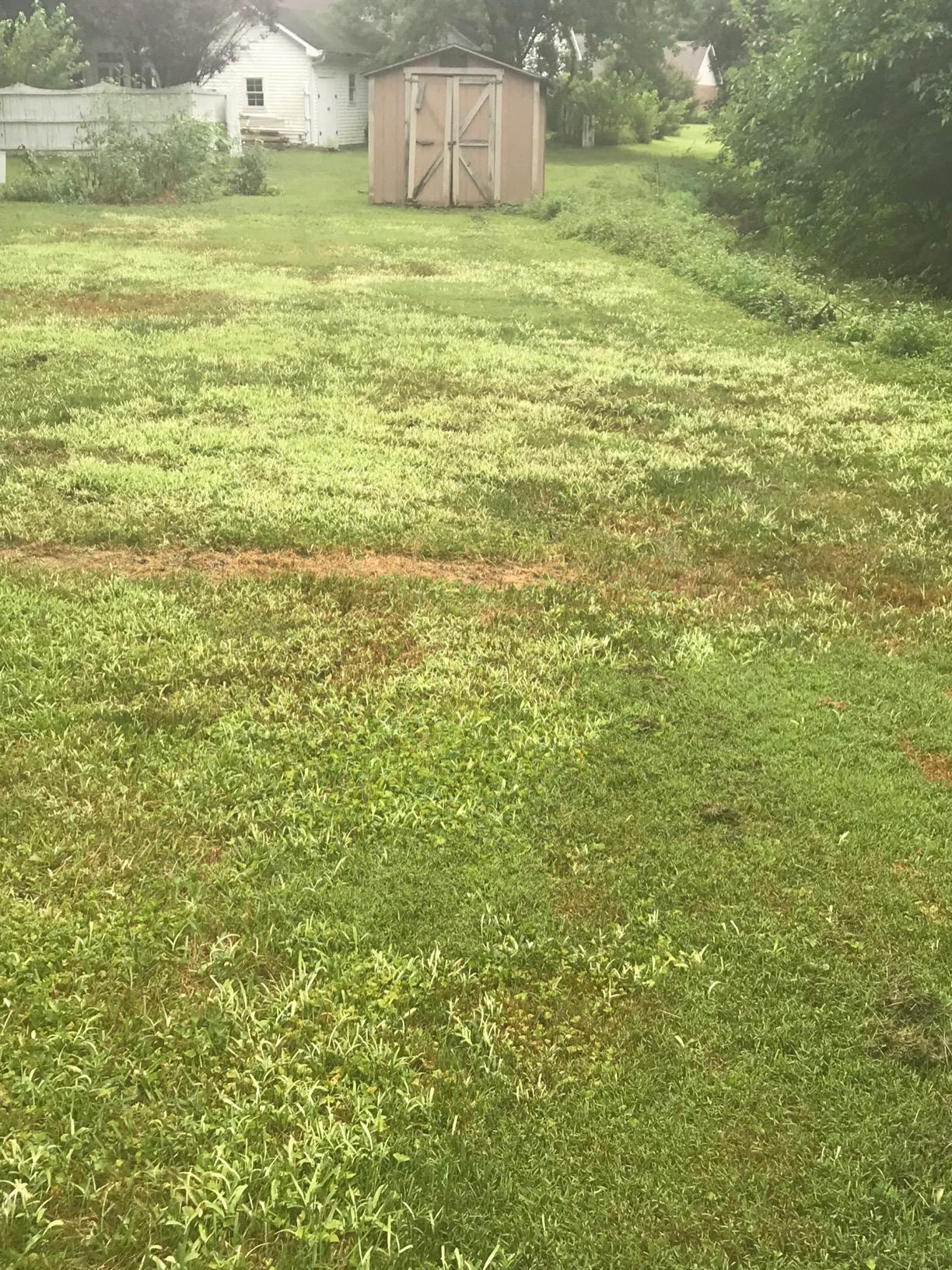 Customer review photo 6 — Tenacity herbicide results